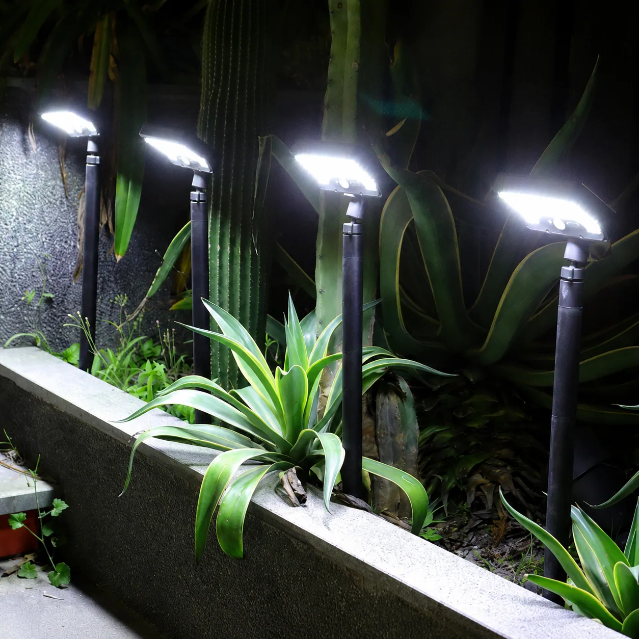Solar Motion Sensor Path Lights in use