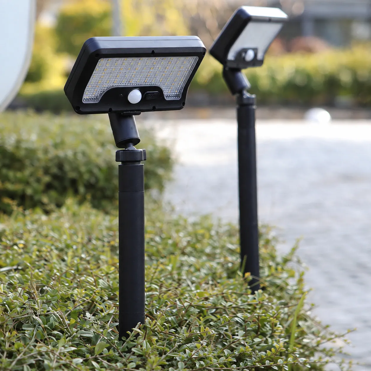 Solar Motion Sensor Path Lights in use
